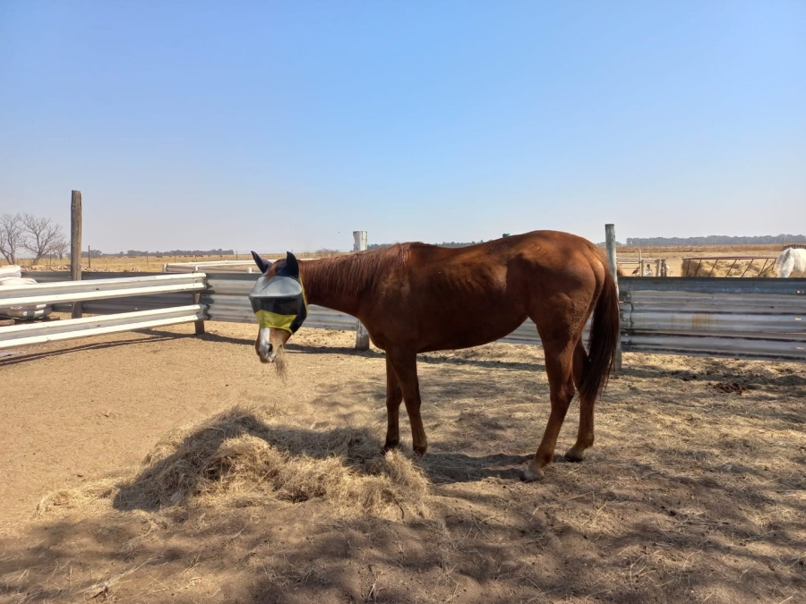 7 Bedroom Property for Sale in Vaal Power A H Free State